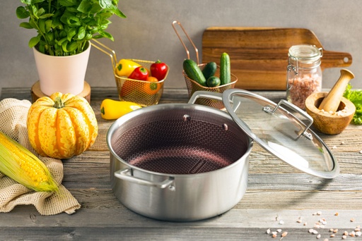 LONEC S STEKLENIM POKROVOM S SATOVJEM Edenberg